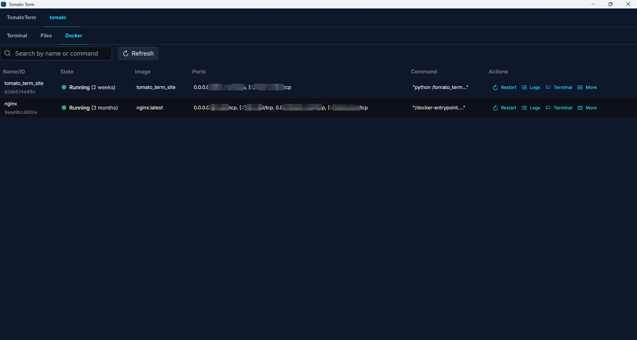 Docker container screenshot